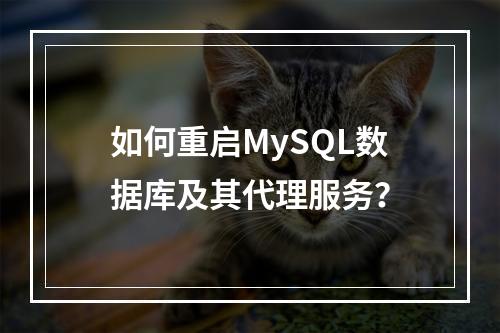 如何重启MySQL数据库及其代理服务?