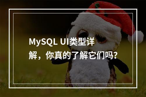 MySQL UI类型详解,你真的了解它们吗?