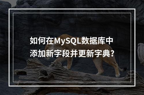 如何在MySQL数据库中添加新字段并更新字典?