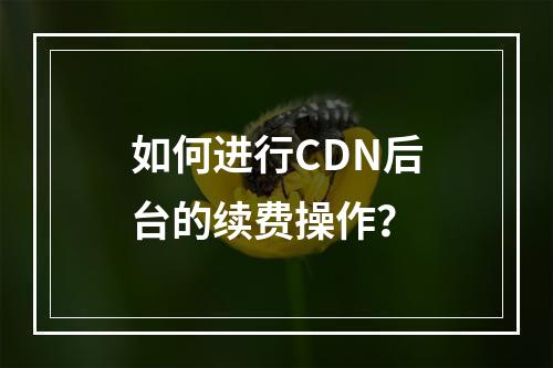 如何进行CDN后台的续费操作?