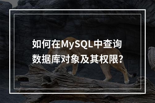 如何在MySQL中查询数据库对象及其权限?