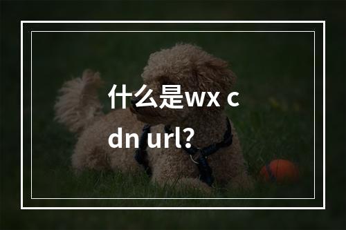 什么是wx cdn url?