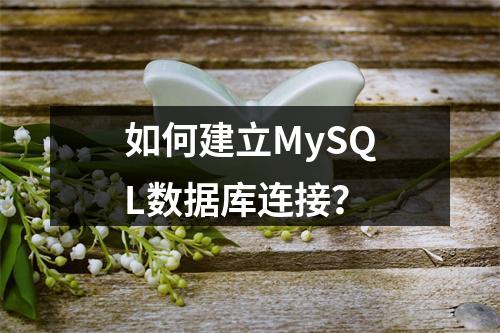 如何建立MySQL数据库连接?