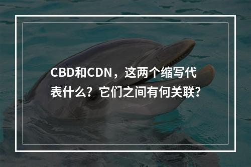 CBD和CDN,这两个缩写代表什么?它们之间有何关联?