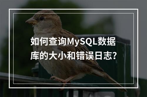 如何查询MySQL数据库的大小和错误日志?