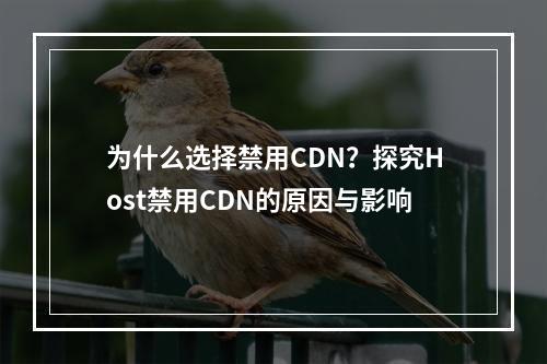 为什么选择禁用CDN?探究Host禁用CDN的原因与影响