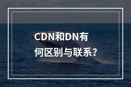 CDN和DN有何区别与联系?