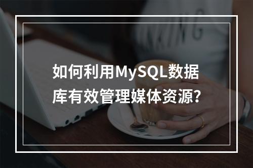 如何利用MySQL数据库有效管理媒体资源?