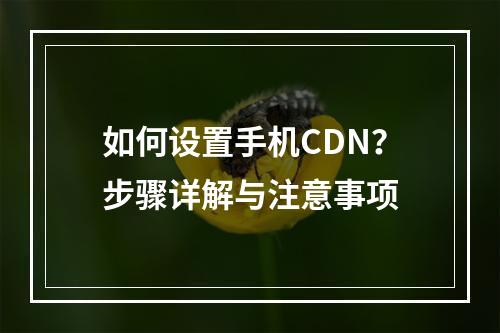 如何设置手机CDN?步骤详解与注意事项