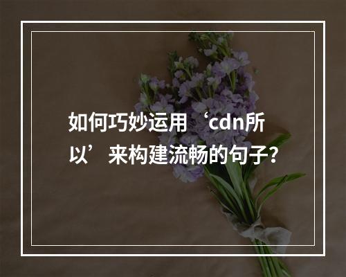 如何巧妙运用‘cdn所以’来构建流畅的句子?