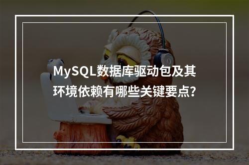 MySQL数据库驱动包及其环境依赖有哪些关键要点?