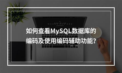 如何查看MySQL数据库的编码及使用编码辅助功能?