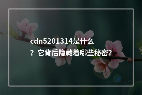 cdn5201314是什么?它背后隐藏着哪些秘密?