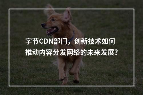 字节CDN部门,创新技术如何推动内容分发网络的未来发展?