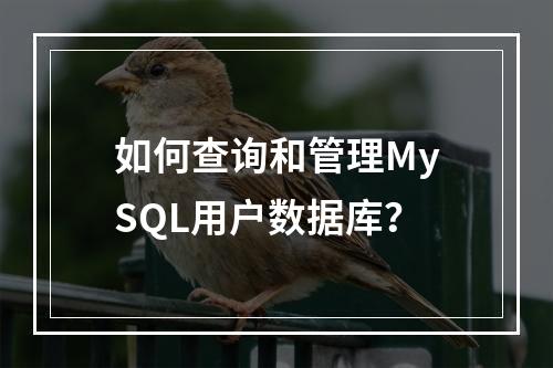 如何查询和管理MySQL用户数据库?