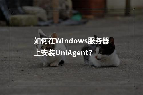如何在Windows服务器上安装UniAgent?