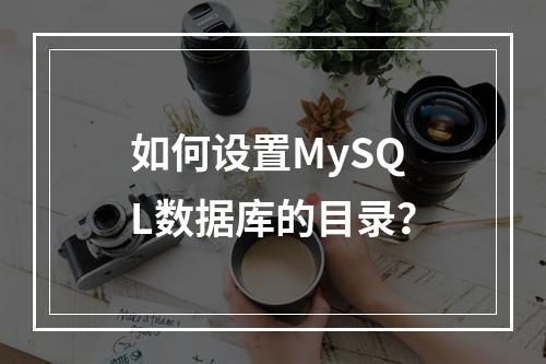 如何设置MySQL数据库的目录?