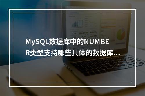 MySQL数据库中的NUMBER类型支持哪些具体的数据库类型?