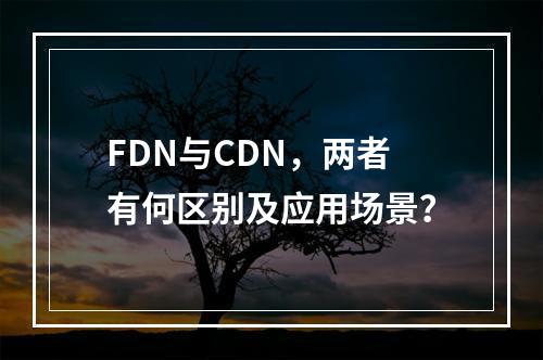 FDN与CDN,两者有何区别及应用场景?