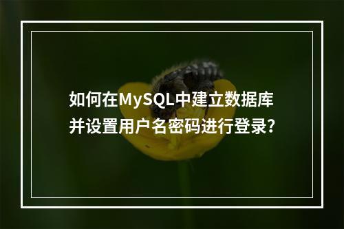 如何在MySQL中建立数据库并设置用户名密码进行登录?