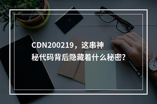 CDN200219,这串神秘代码背后隐藏着什么秘密?
