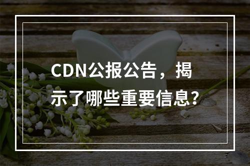 CDN公报公告,揭示了哪些重要信息?