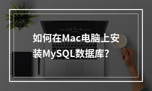 如何在Mac电脑上安装MySQL数据库?
