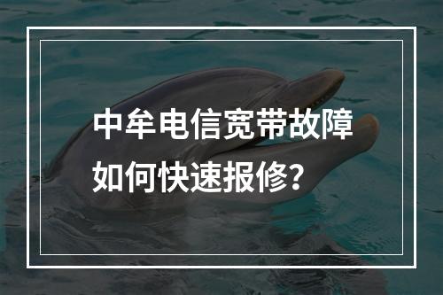 中牟电信宽带故障如何快速报修？