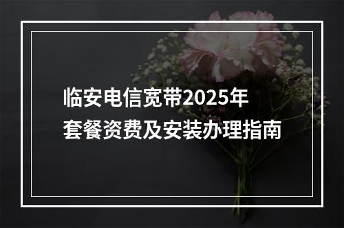 临安电信宽带2025年套餐资费及安装办理指南