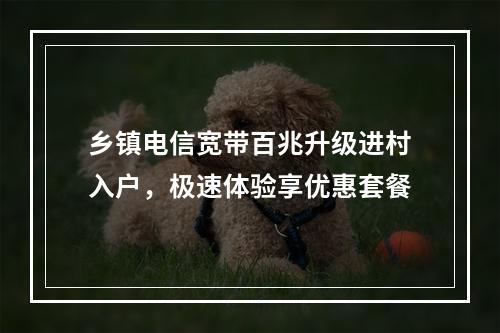 乡镇电信宽带百兆升级进村入户，极速体验享优惠套餐