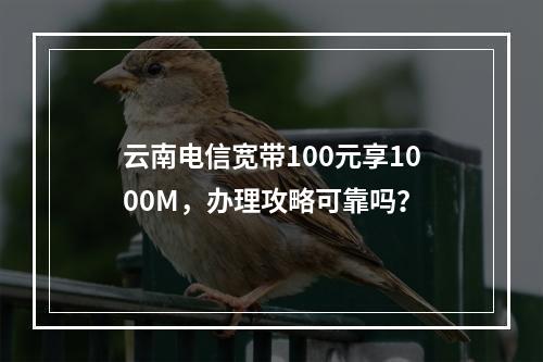 云南电信宽带100元享1000M，办理攻略可靠吗？