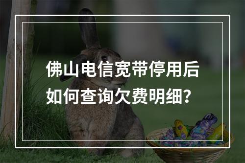 佛山电信宽带停用后如何查询欠费明细？