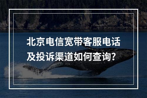 北京电信宽带客服电话及投诉渠道如何查询？