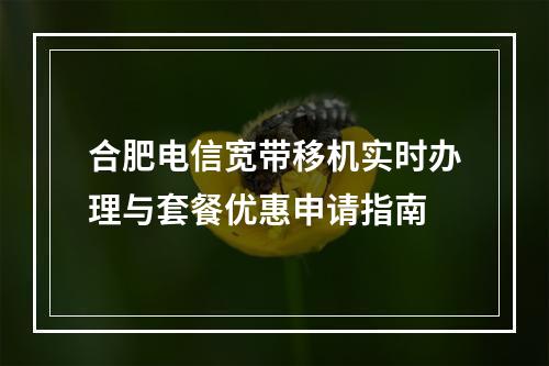 合肥电信宽带移机实时办理与套餐优惠申请指南