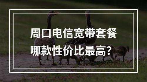 周口电信宽带套餐哪款性价比最高？