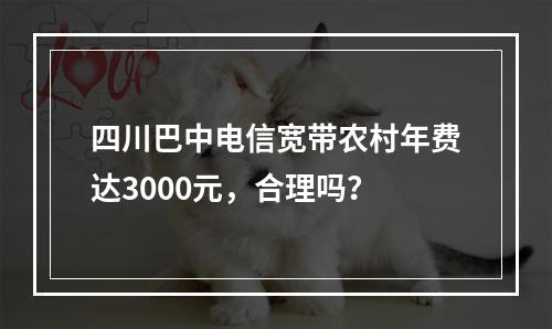 四川巴中电信宽带农村年费达3000元，合理吗？