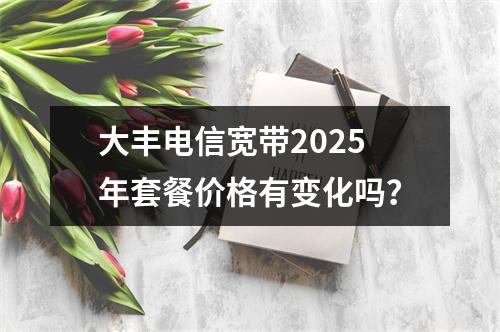 大丰电信宽带2025年套餐价格有变化吗？