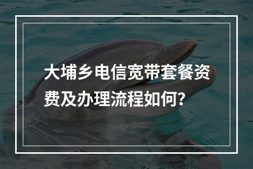 大埔乡电信宽带套餐资费及办理流程如何？