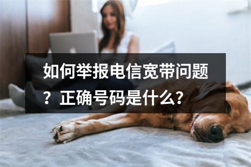 如何举报电信宽带问题？正确号码是什么？