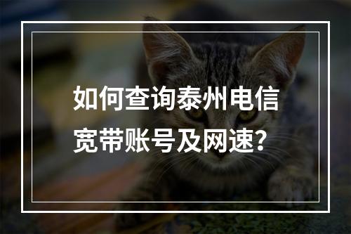 如何查询泰州电信宽带账号及网速？