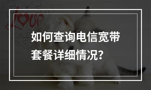 如何查询电信宽带套餐详细情况？