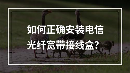 如何正确安装电信光纤宽带接线盒？