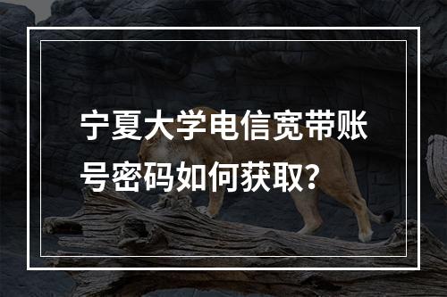 宁夏大学电信宽带账号密码如何获取？