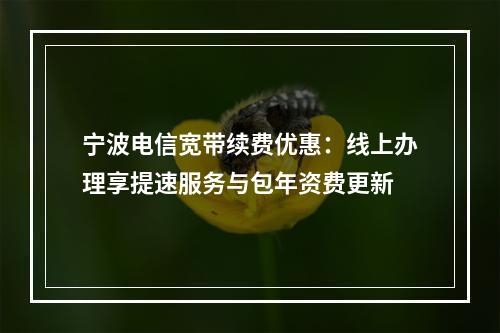 宁波电信宽带续费优惠：线上办理享提速服务与包年资费更新