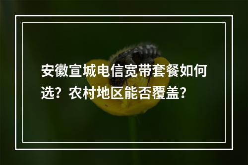 安徽宣城电信宽带套餐如何选？农村地区能否覆盖？