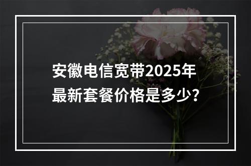 安徽电信宽带2025年最新套餐价格是多少？