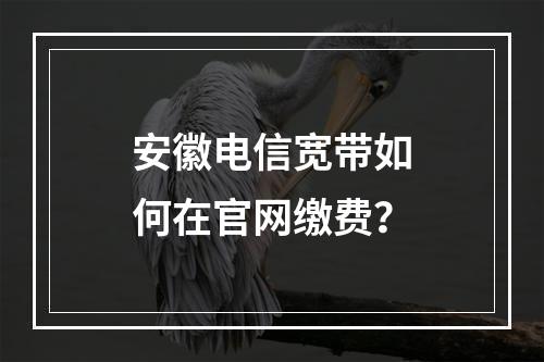 安徽电信宽带如何在官网缴费？