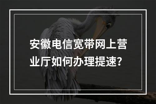安徽电信宽带网上营业厅如何办理提速？