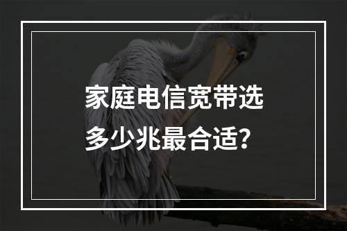 家庭电信宽带选多少兆最合适？
