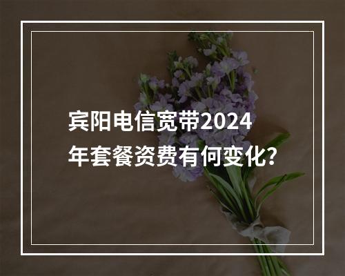 宾阳电信宽带2024年套餐资费有何变化？